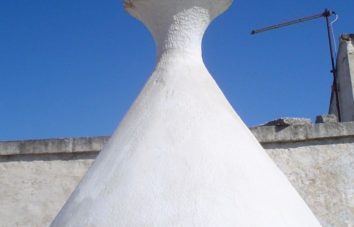 TESTA CONO 2